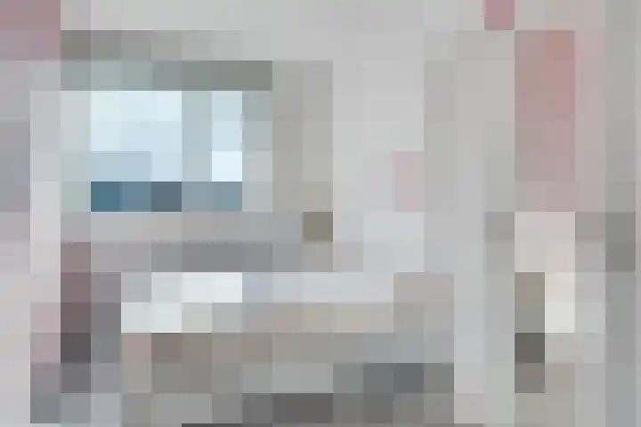 Oude Boogaert 51 Yerseke thumbnail 17