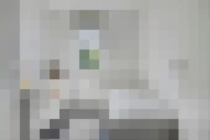 Oude Boogaert 51 Yerseke thumbnail 18