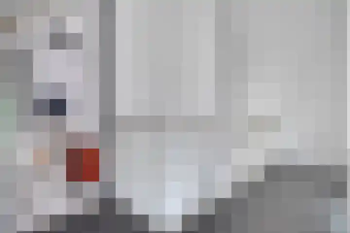 Oude Boogaert 51 Yerseke thumbnail 24