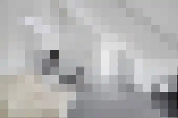 Oude Boogaert 51 Yerseke thumbnail 25