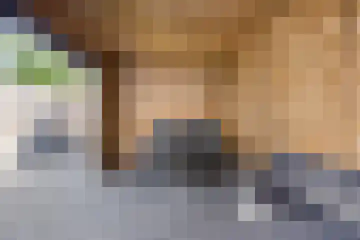 Oude Boogaert 51 Yerseke thumbnail 30