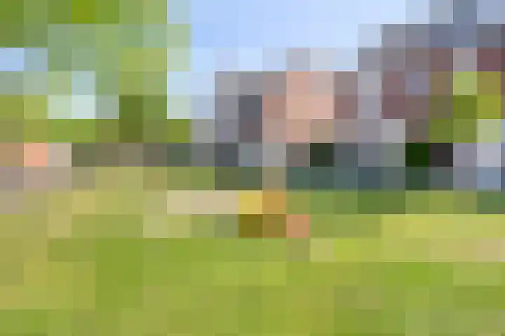 Oude Boogaert 51 Yerseke thumbnail 34