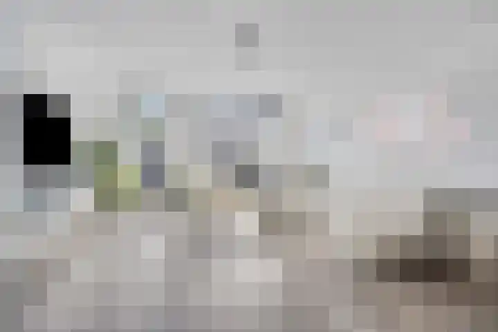 Oude Boogaert 51 Yerseke thumbnail 4