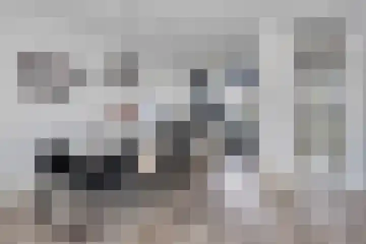 Oude Boogaert 51 Yerseke thumbnail 6
