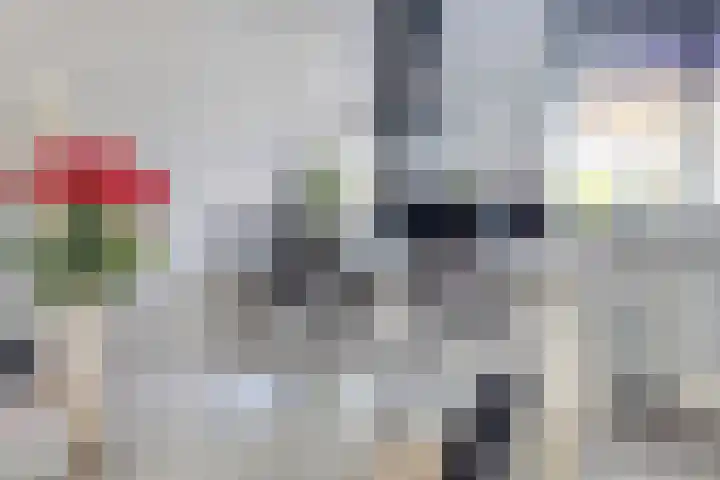 Oude Boogaert 51 Yerseke thumbnail 7