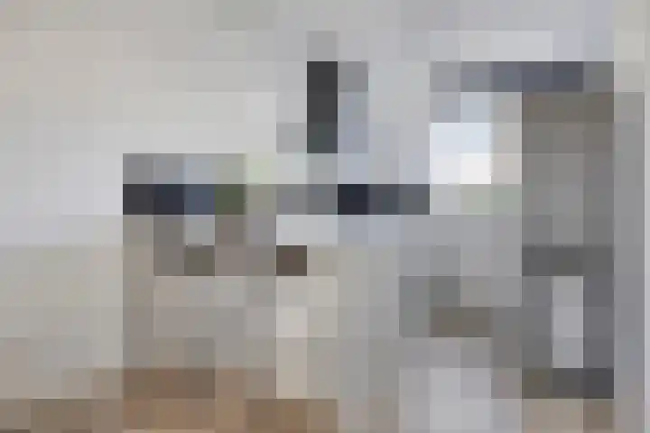 Oude Boogaert 51 Yerseke thumbnail 8