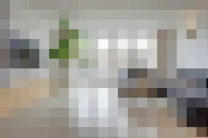 Oude Boogaert 59 Yerseke thumbnail 12