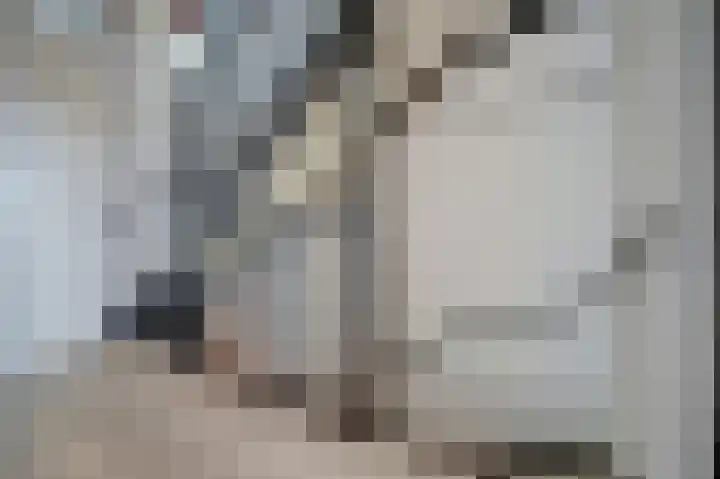 Oude Boogaert 59 Yerseke thumbnail 19