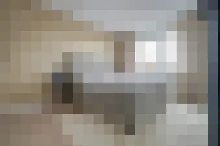 Oude Boogaert 59 Yerseke thumbnail 21