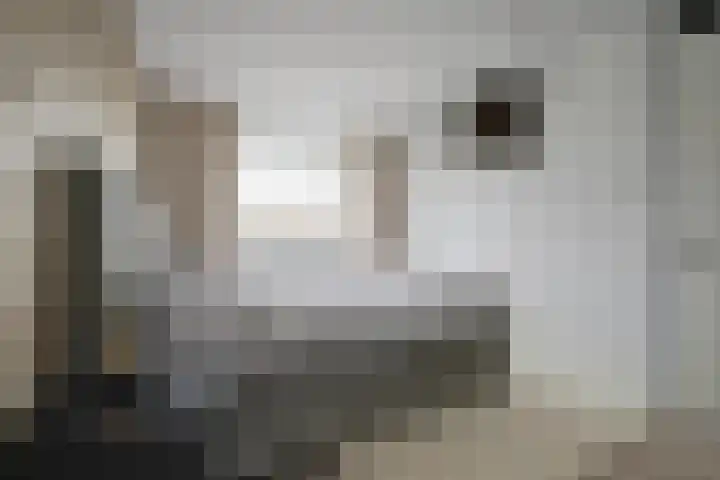 Oude Boogaert 59 Yerseke thumbnail 22