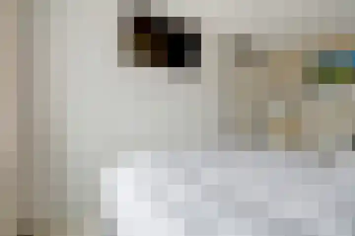 Oude Boogaert 59 Yerseke thumbnail 23