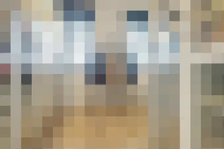 Oude Boogaert 59 Yerseke thumbnail 24