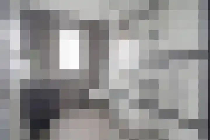 Oude Boogaert 59 Yerseke thumbnail 26