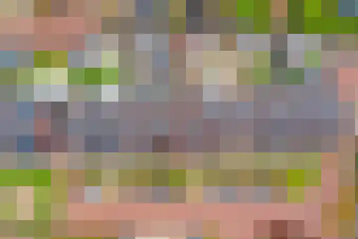 Oude Boogaert 59 Yerseke thumbnail 43