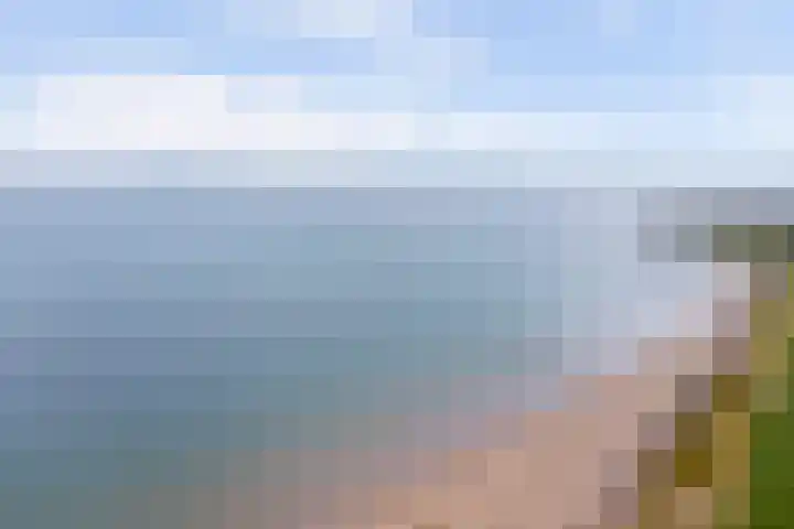 Oude Boogaert 59 Yerseke thumbnail 44