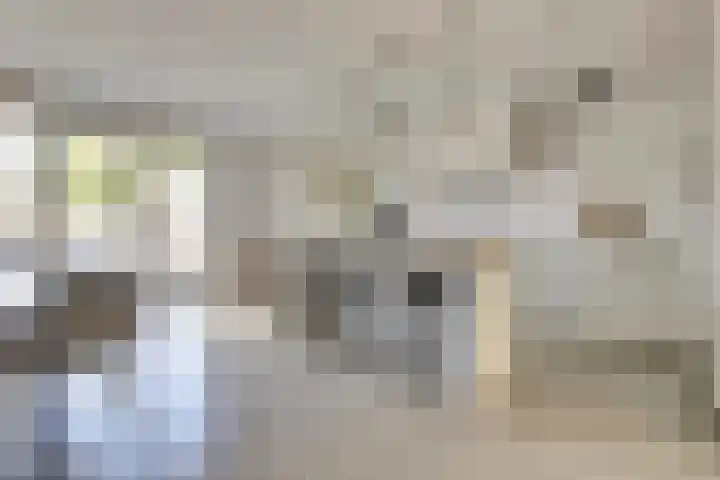 Oude Boogaert 6 G Yerseke thumbnail 13