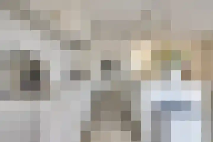 Oude Boogaert 6 G Yerseke thumbnail 14