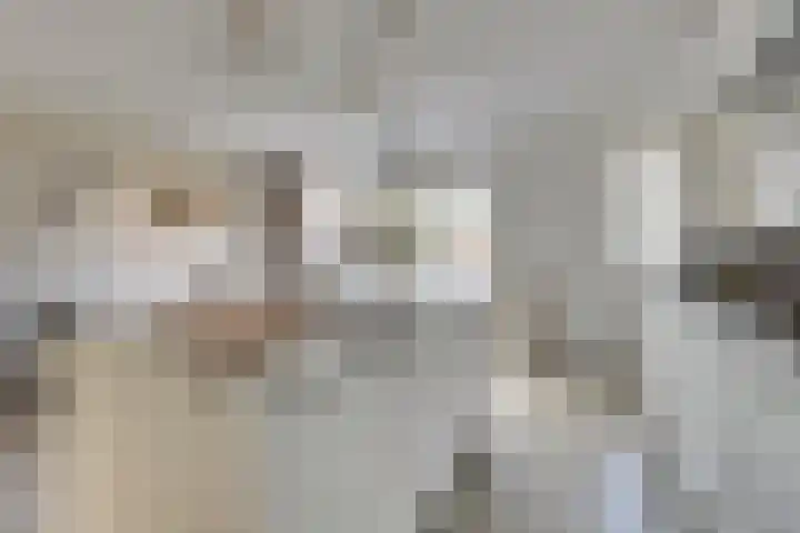 Oude Boogaert 6 G Yerseke thumbnail 15