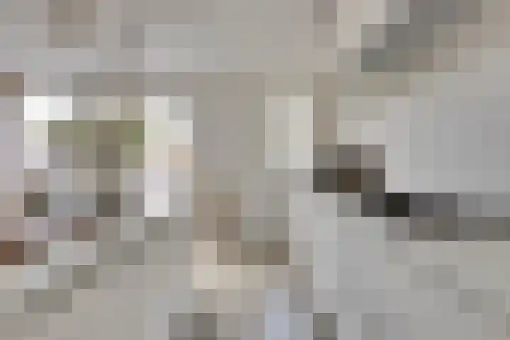 Oude Boogaert 6 G Yerseke thumbnail 16