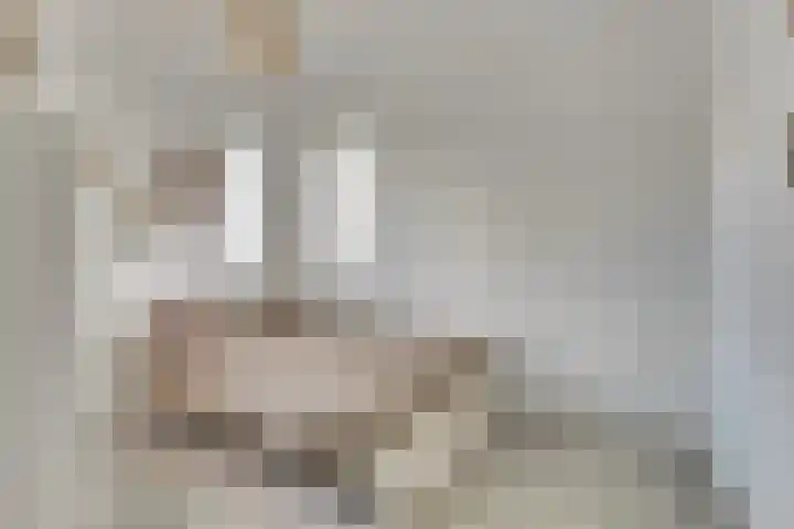 Oude Boogaert 6 G Yerseke thumbnail 20