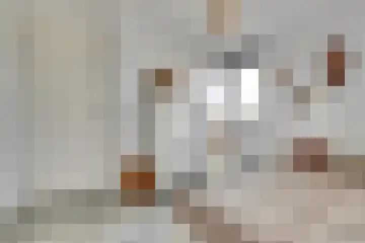 Oude Boogaert 6 G Yerseke thumbnail 21