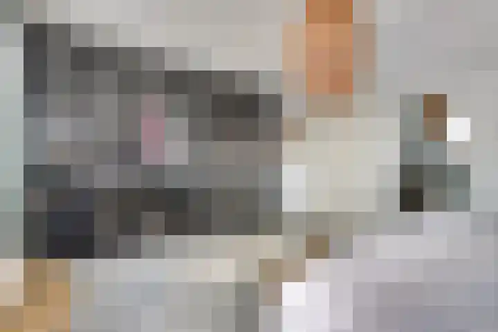 Oude Boogaert 6 G Yerseke thumbnail 23