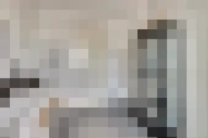 Oude Boogaert 6 G Yerseke thumbnail 25