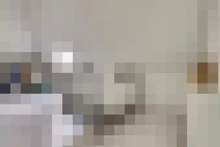 Oude Boogaert 6 G Yerseke thumbnail 31