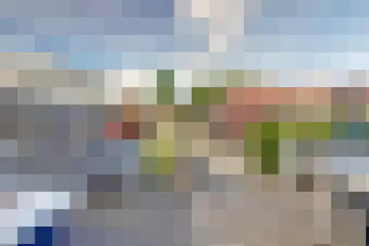Oude Boogaert 6 G Yerseke thumbnail 32