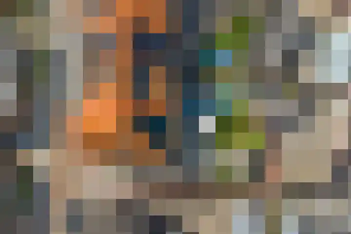 Oude Boogaert 6 G Yerseke thumbnail 43
