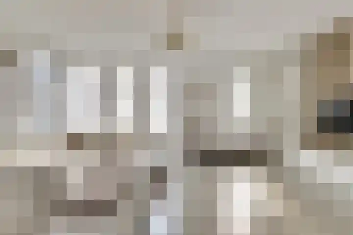Oude Boogaert 6 G Yerseke thumbnail 5
