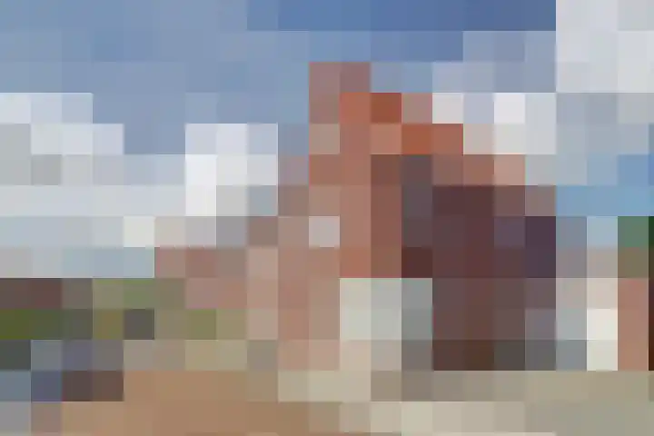 Oude Boogaert 6 G Yerseke thumbnail 51