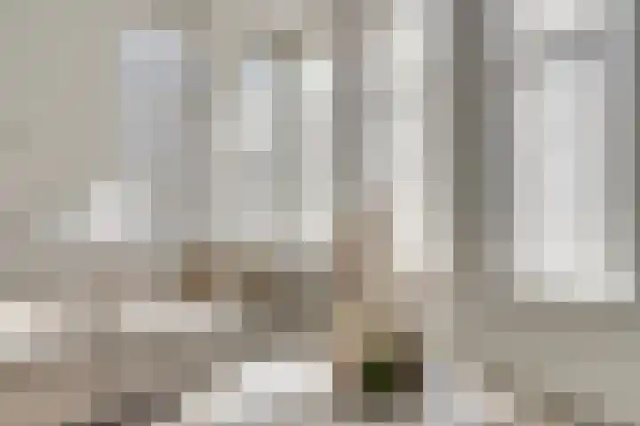 Oude Boogaert 6 G Yerseke thumbnail 7