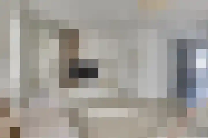 Oude Boogaert 6 G Yerseke thumbnail 8