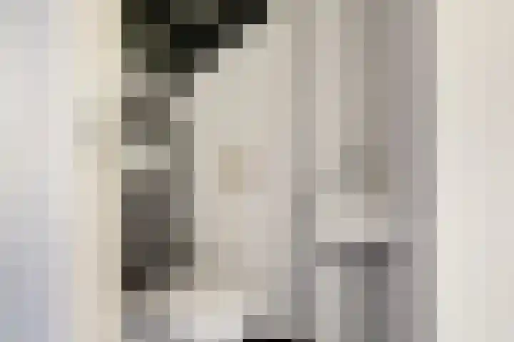 Oude Boogaert 9 Yerseke thumbnail 11