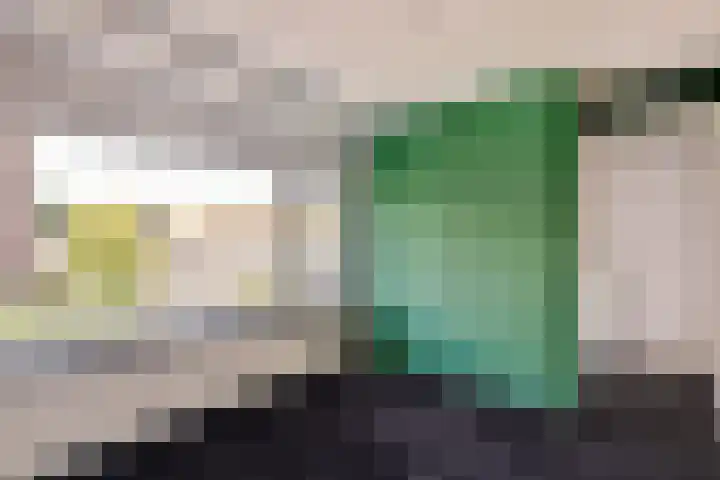Oude Boogaert 9 Yerseke thumbnail 15