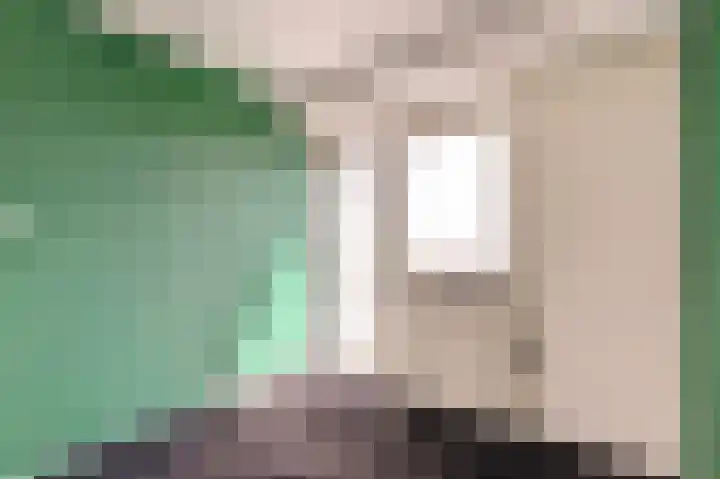 Oude Boogaert 9 Yerseke thumbnail 16