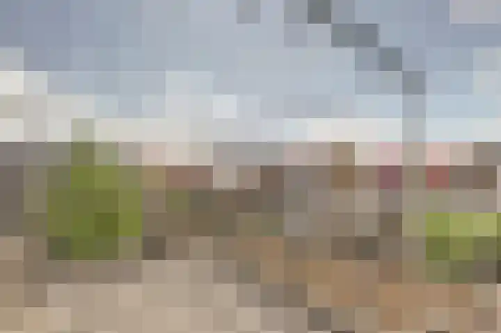 Oude Boogaert 9 Yerseke thumbnail 18
