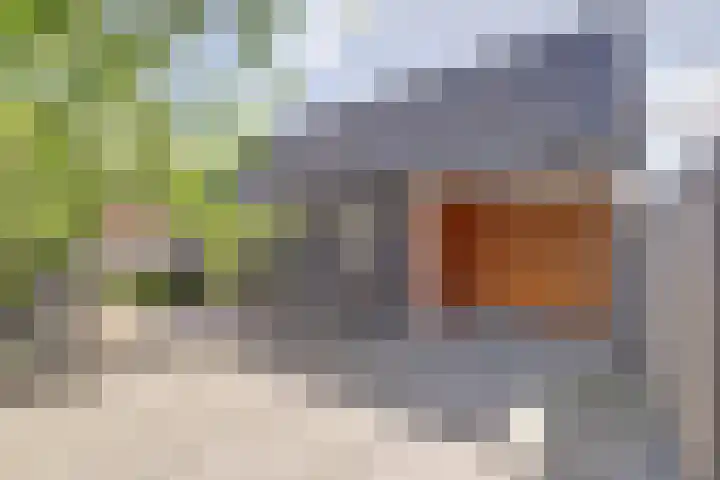 Oude Boogaert 9 Yerseke thumbnail 23