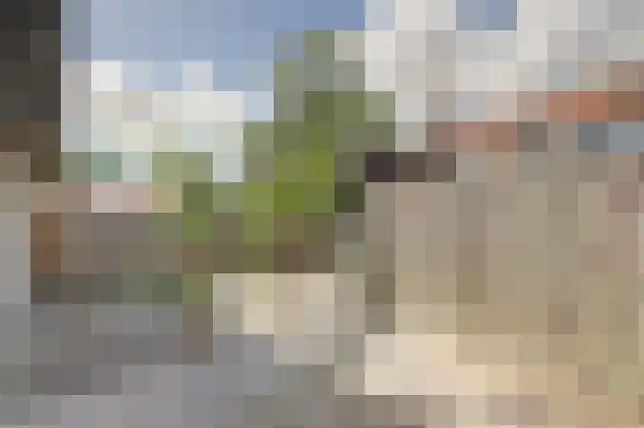 Oude Boogaert 9 Yerseke thumbnail 26