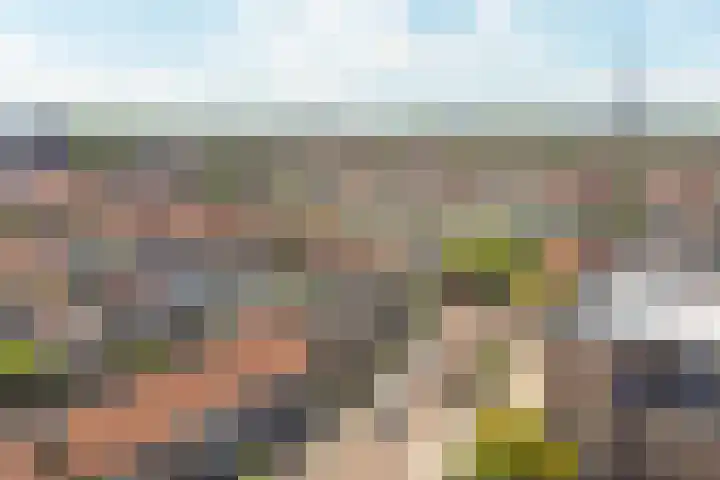 Oude Boogaert 9 Yerseke thumbnail 34