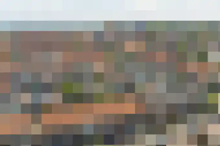 Oude Boogaert 9 Yerseke thumbnail 35