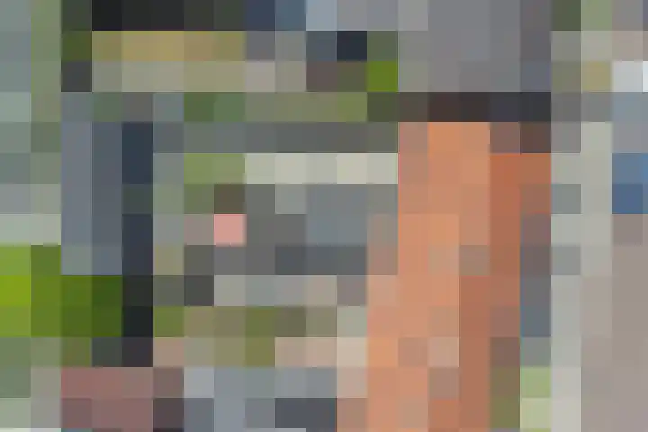 Oude Boogaert 9 Yerseke thumbnail 36