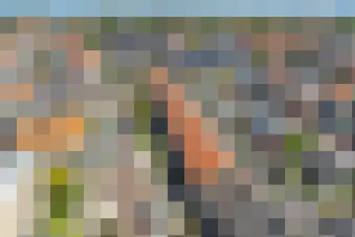 Oude Boogaert 9 Yerseke thumbnail 38