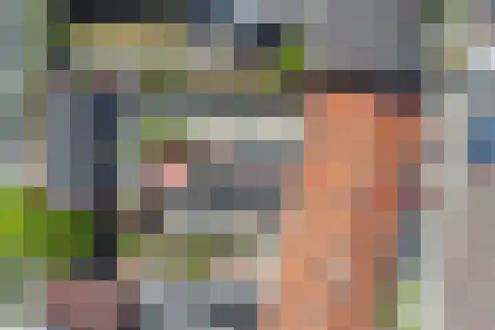 Oude Boogaert 9 Yerseke thumbnail 39
