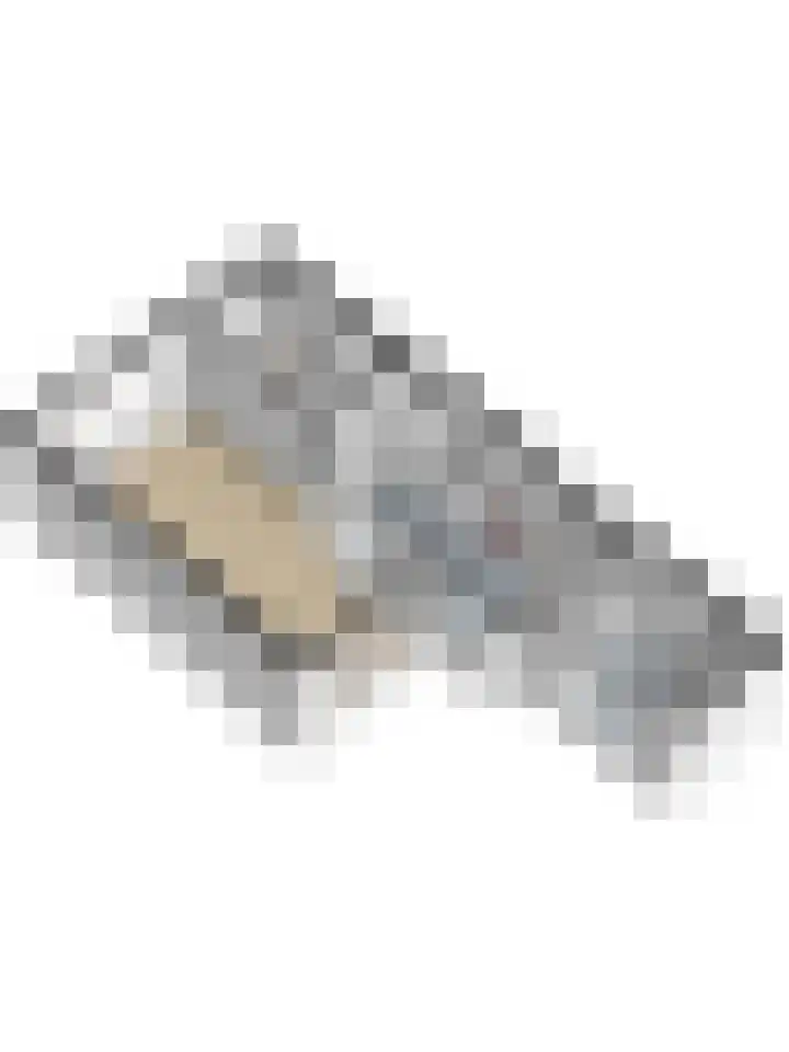 Oude Boogaert 9 Yerseke thumbnail 45