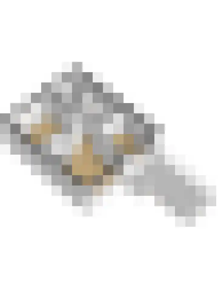 Oude Boogaert 9 Yerseke thumbnail 46