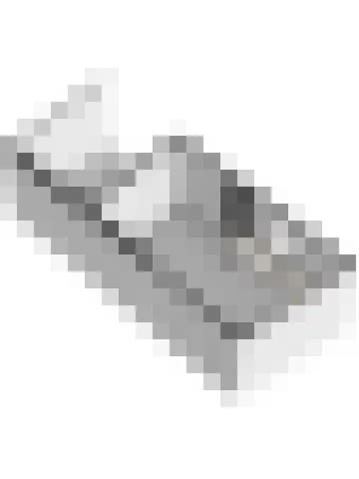 Oude Boogaert 9 Yerseke thumbnail 48