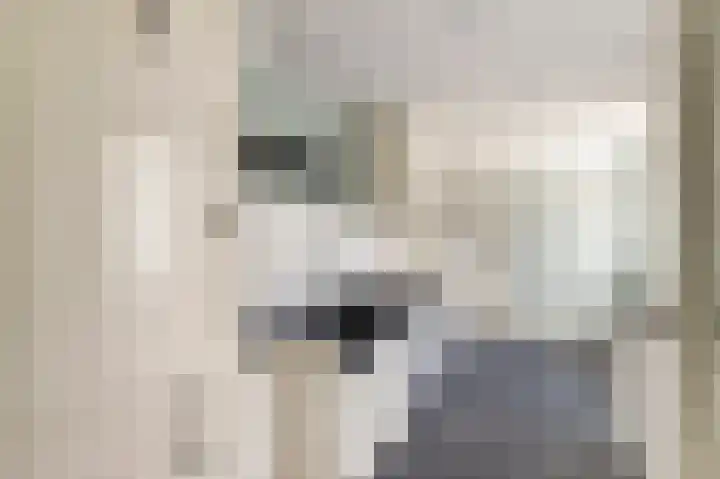 Oude Boogaert 9 Yerseke thumbnail 8