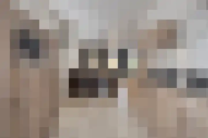 Oude Boomgaard 1 Herkingen thumbnail 15